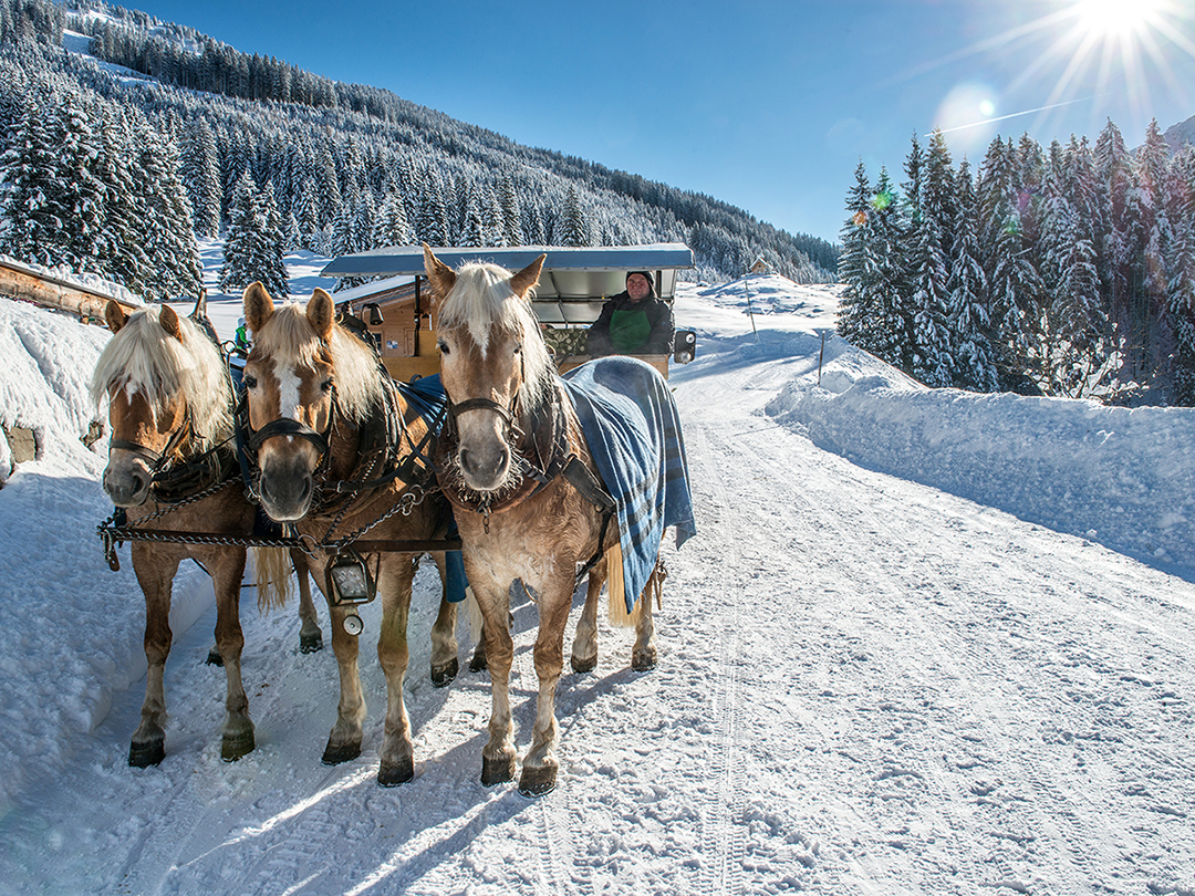 Kutschenfahrt_Schönangeralm