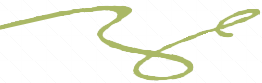 Schorkel_Logo_grun